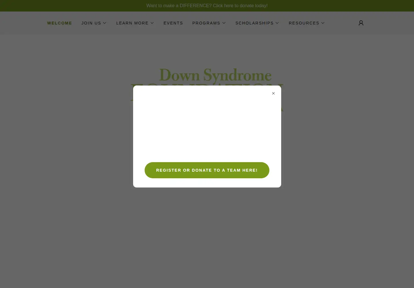 Captured homepage of dsfflorida.org in the current scan