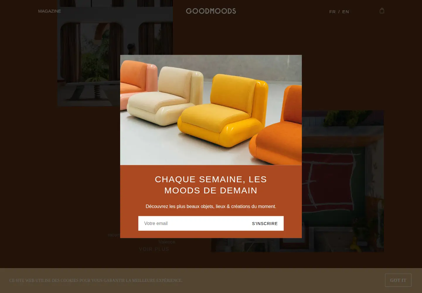 Captured homepage of goodmoods.com in the current scan