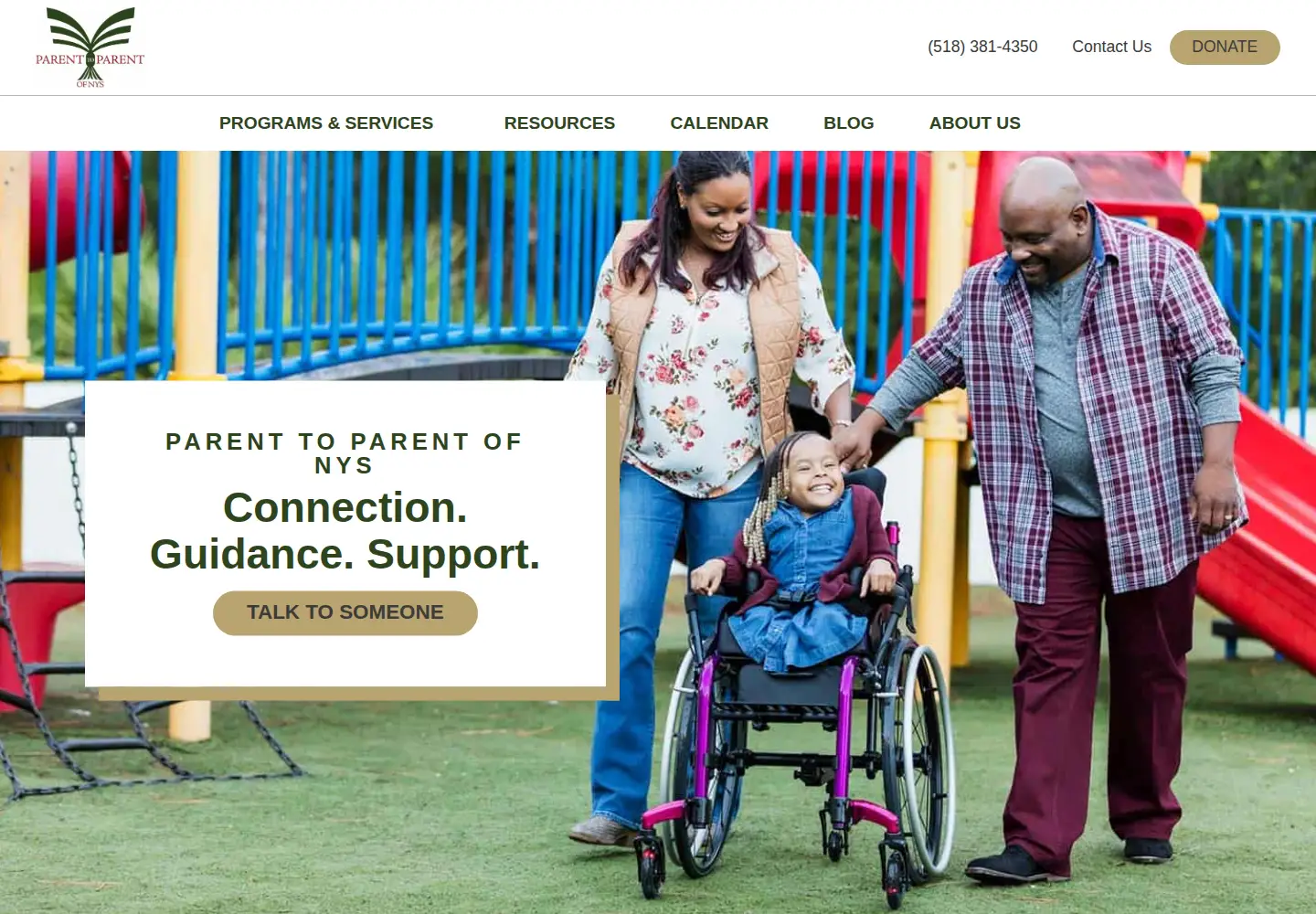 Screenshot of parenttoparentnys.org