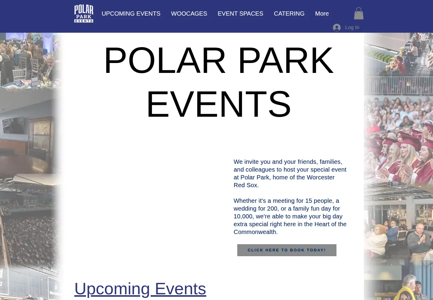 Screenshot of polarpark.com