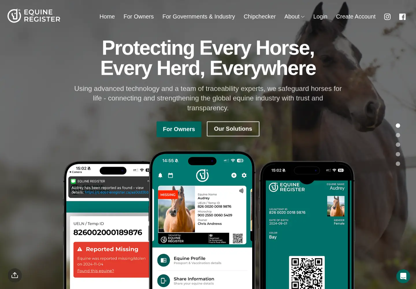 Screenshot of equineregister.co.uk