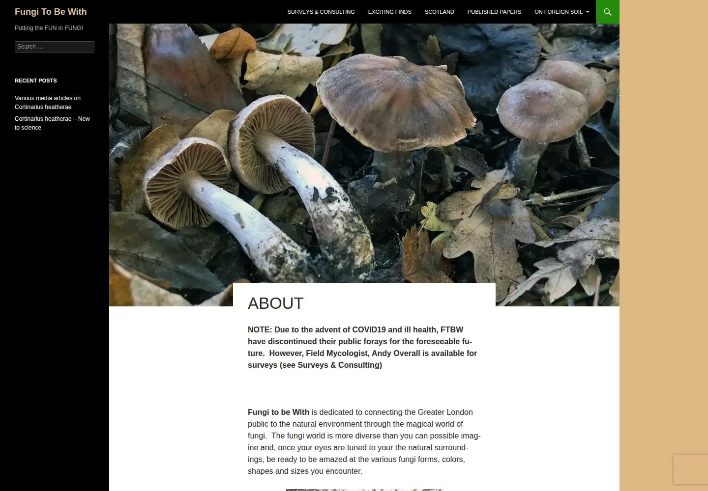 Screenshot of fungitobewith.org