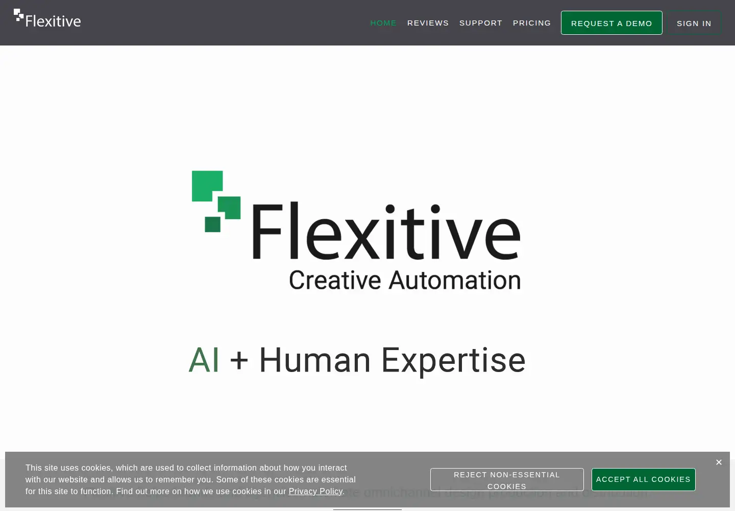 Captured homepage of flexitive.com in the current scan