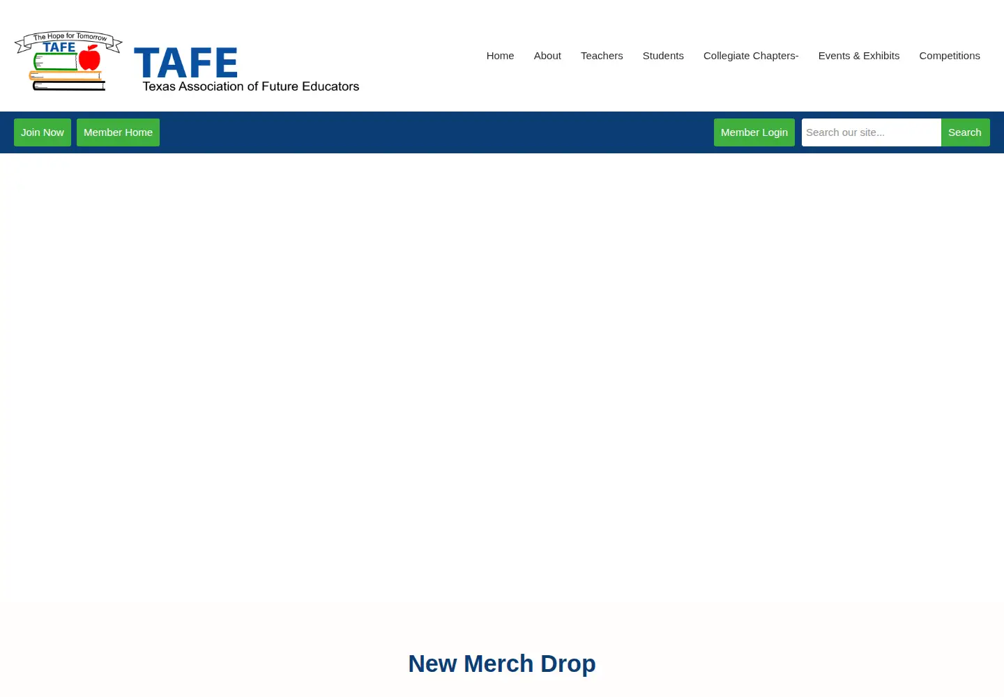 Captured homepage of tafeonline.org in the current scan