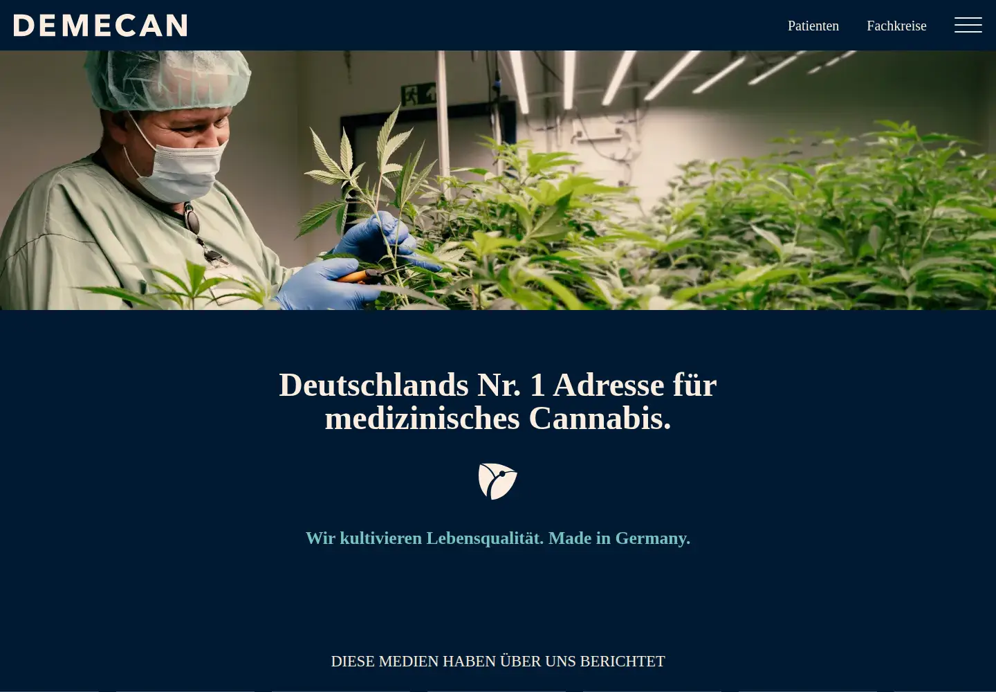 Screenshot of demecan.de