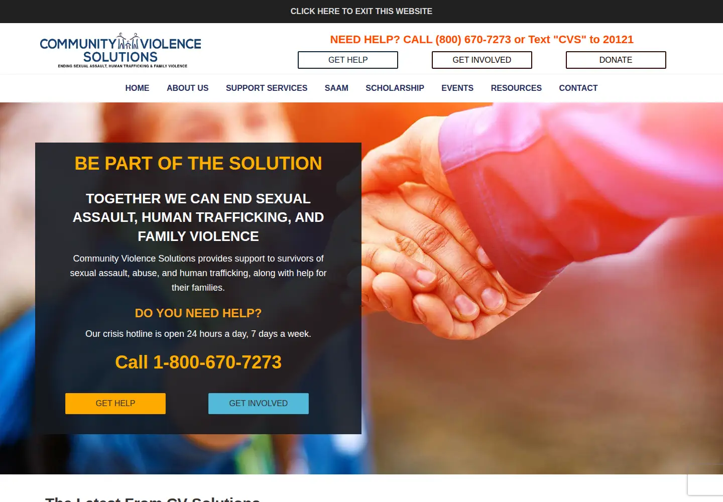Captured homepage of cvsolutions.org in the current scan