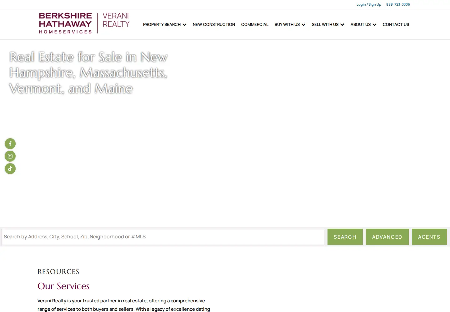 Captured homepage of verani.com in the current scan