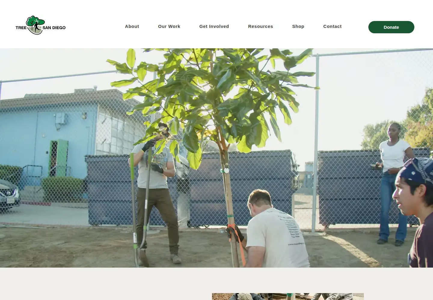 Captured homepage of treesandiego.org in the current scan