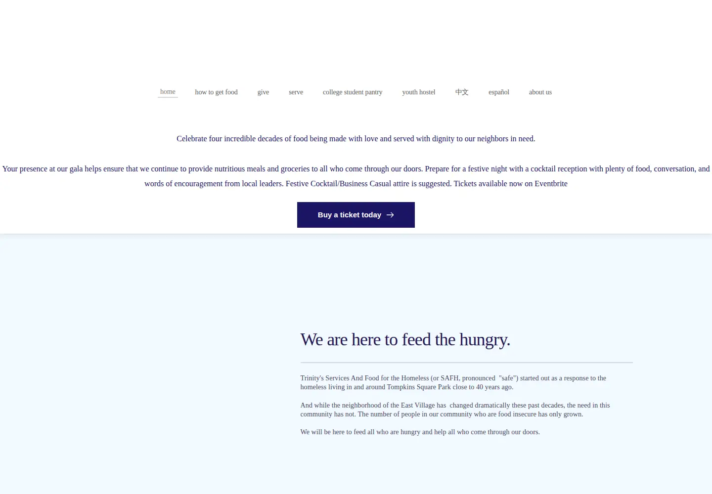 Screenshot of safhnyc.org