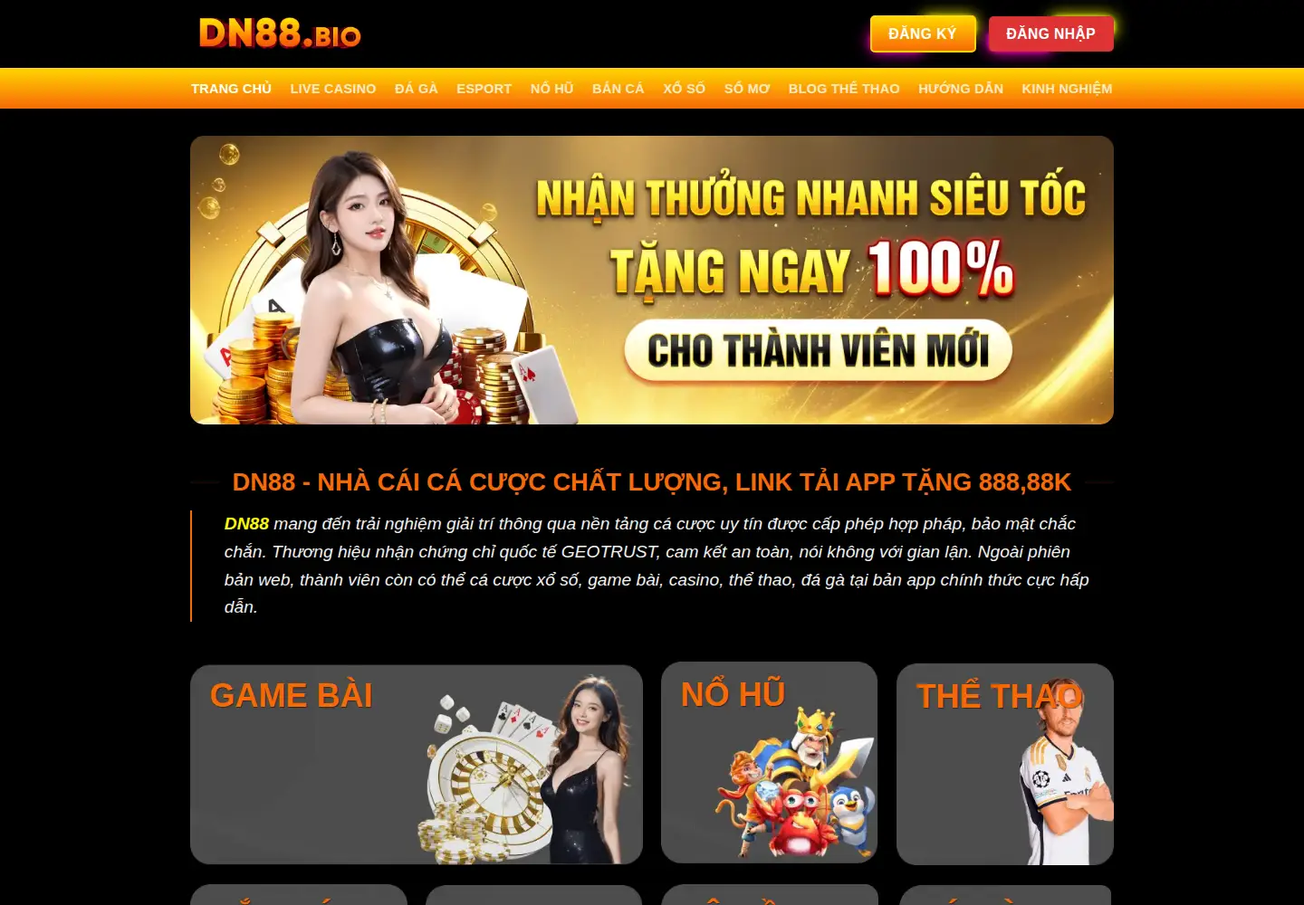 Captured homepage of dn88.bio in the current scan