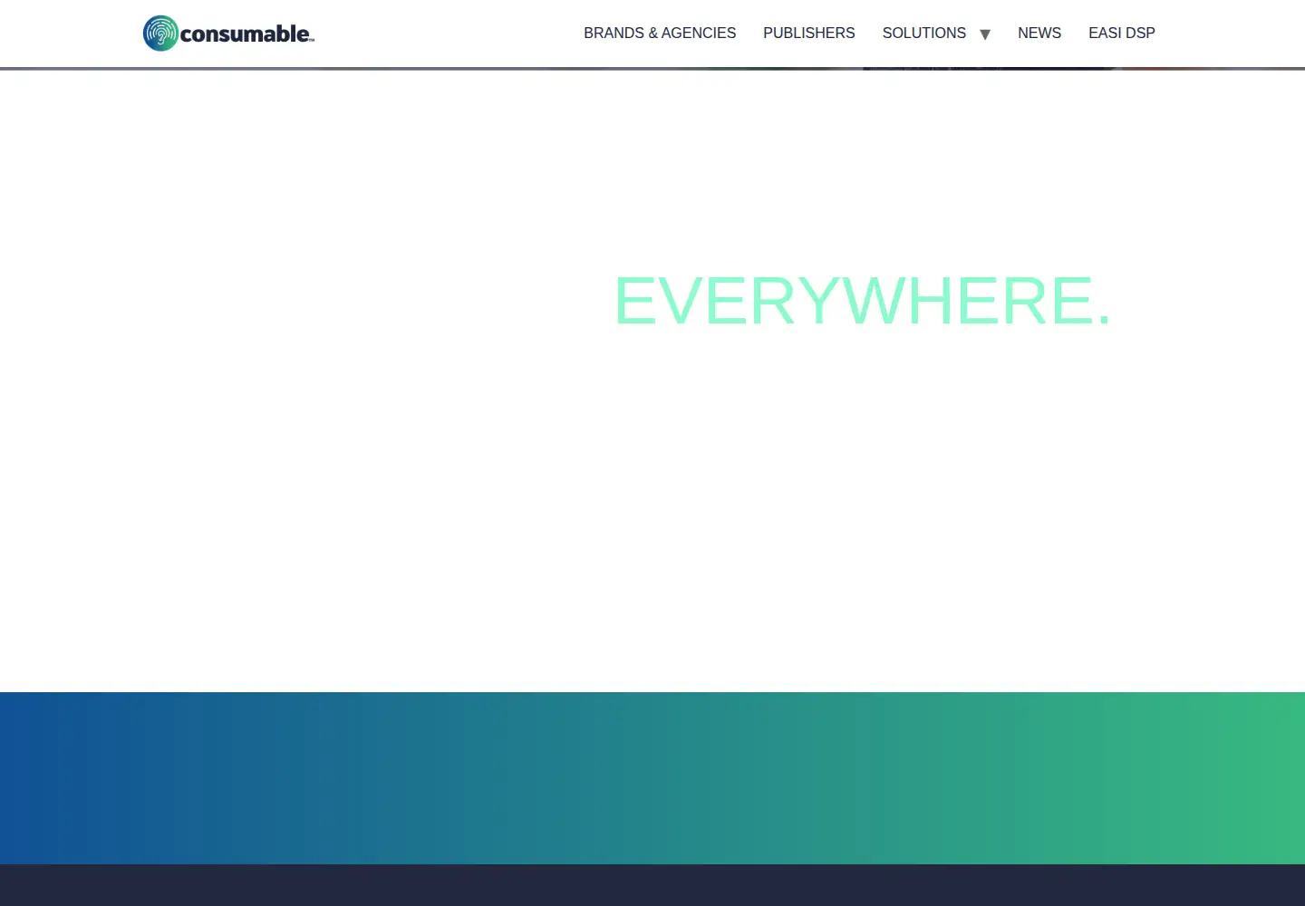 Screenshot of consumable.com
