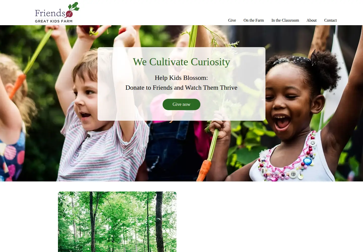 Screenshot of friendsgkf.org