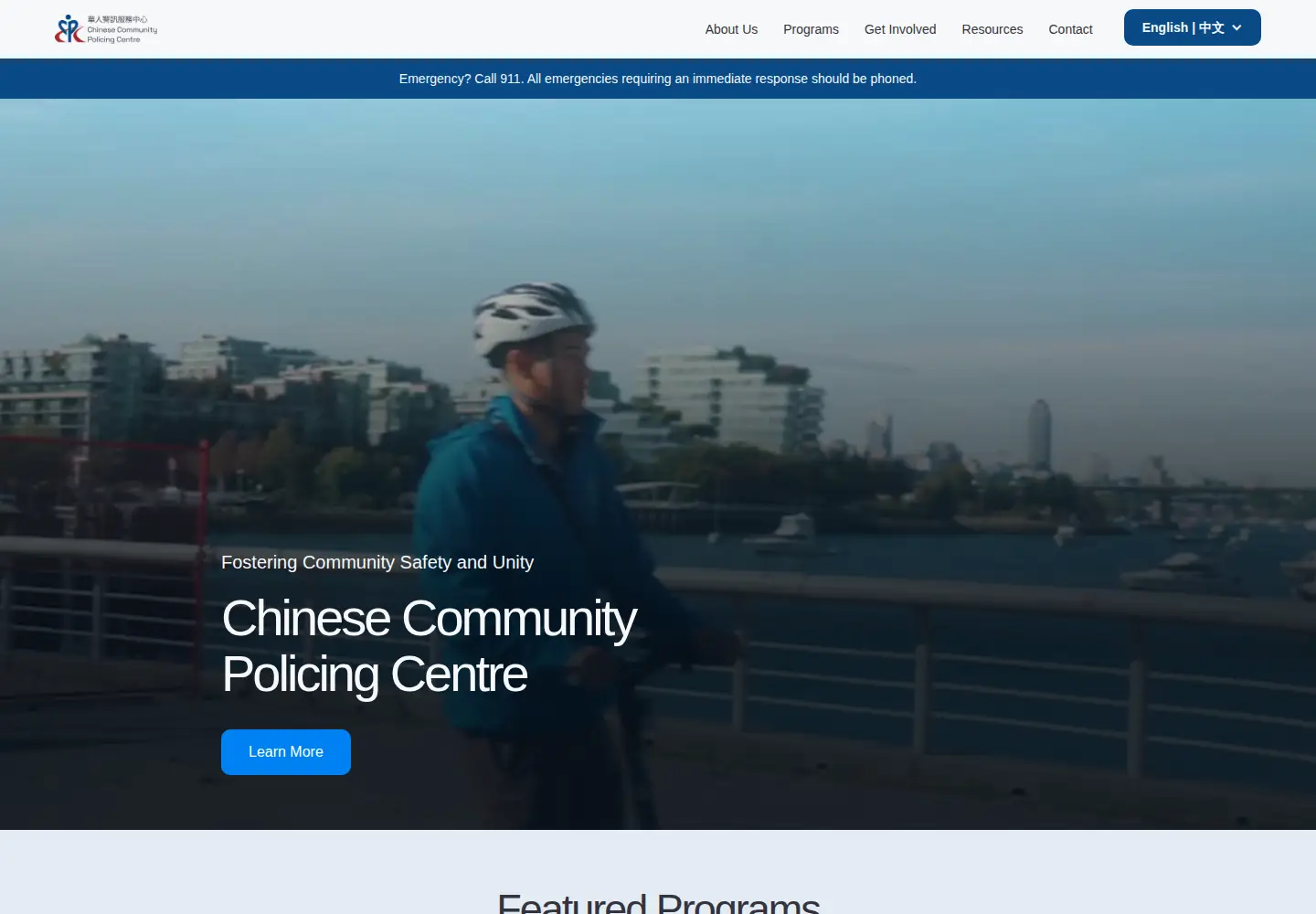 Captured homepage of chinesecpc.com in the current scan