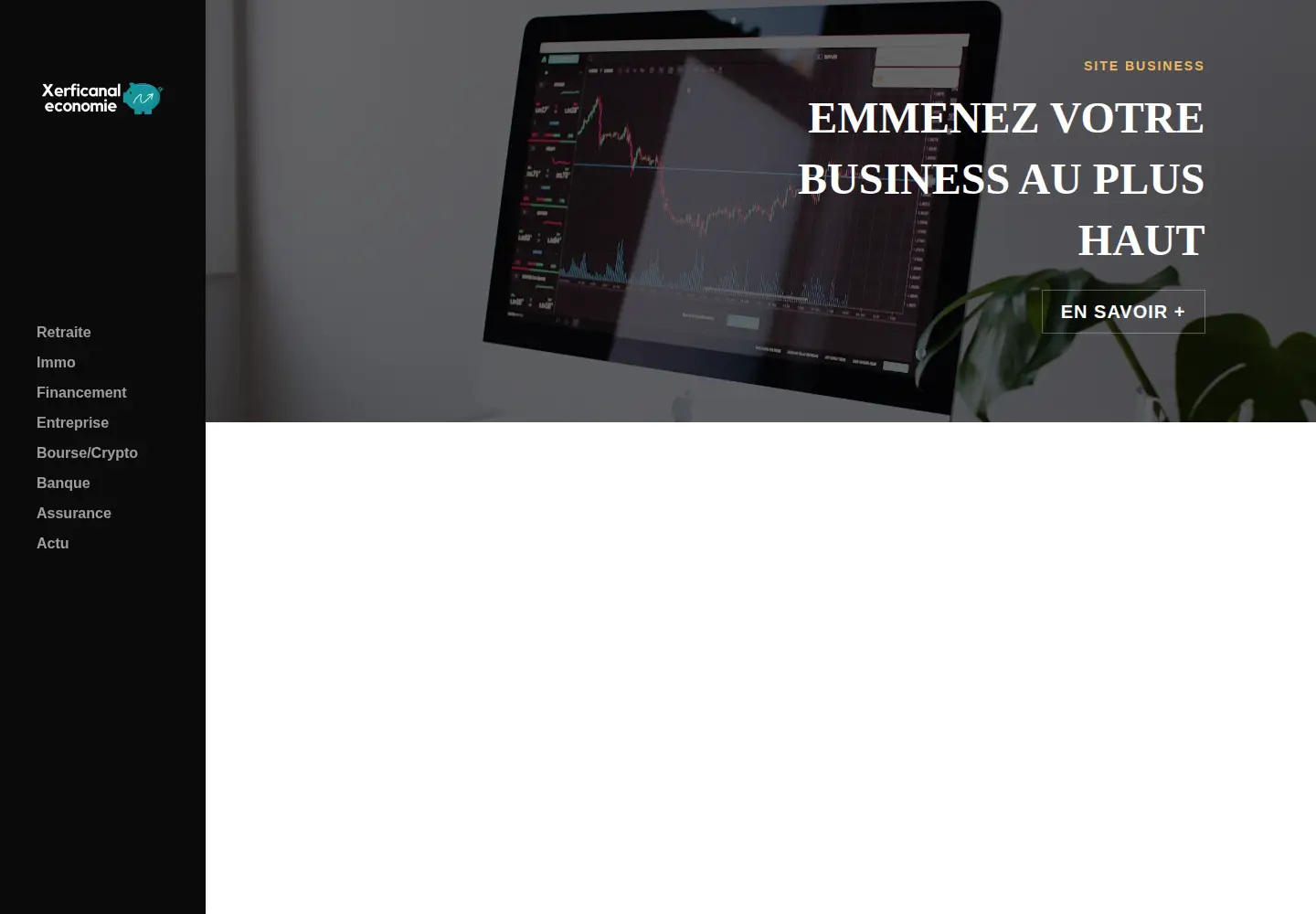 Screenshot of xerficanal-economie.com