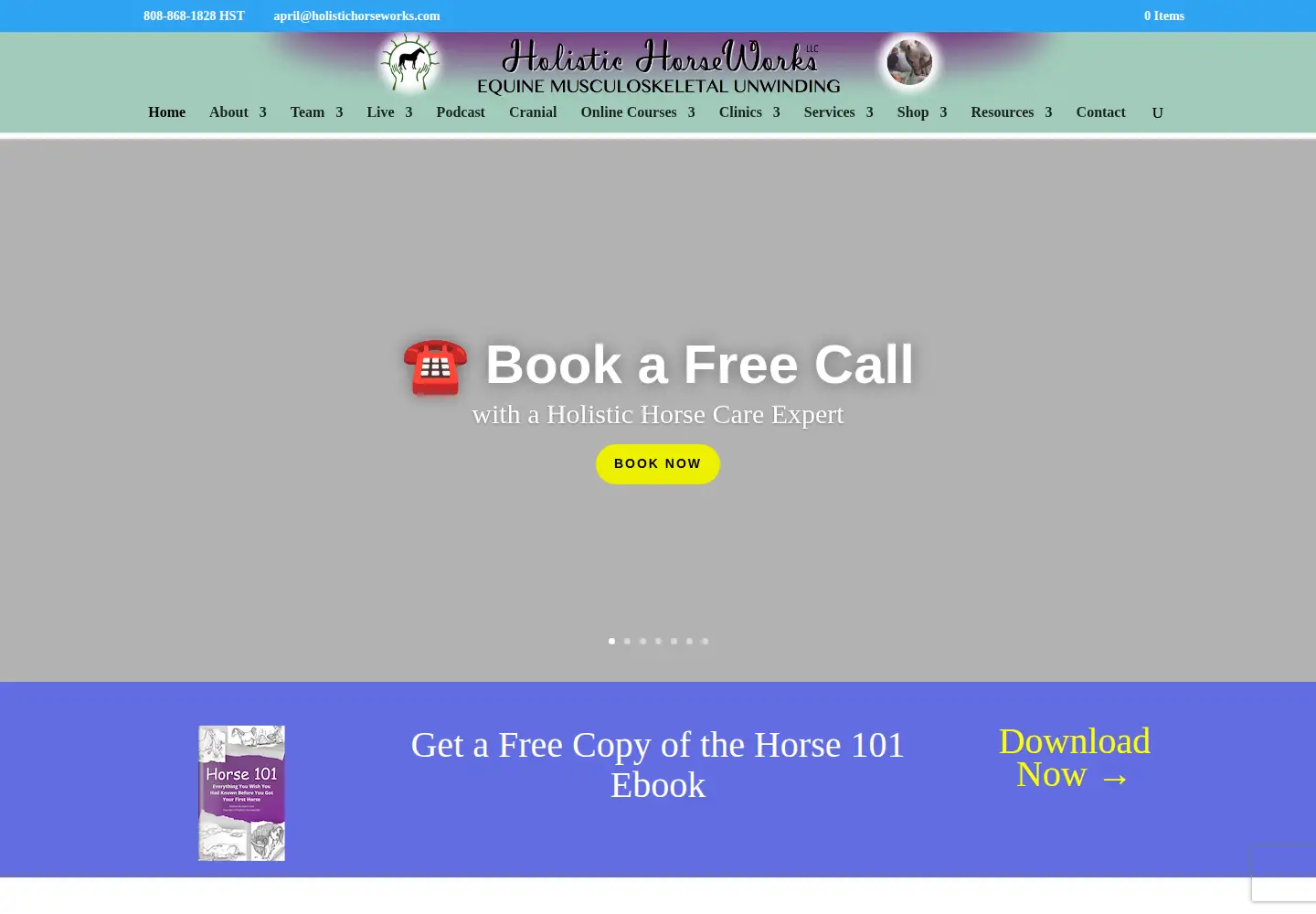 Captured homepage of holistichorseworks.com in the current scan