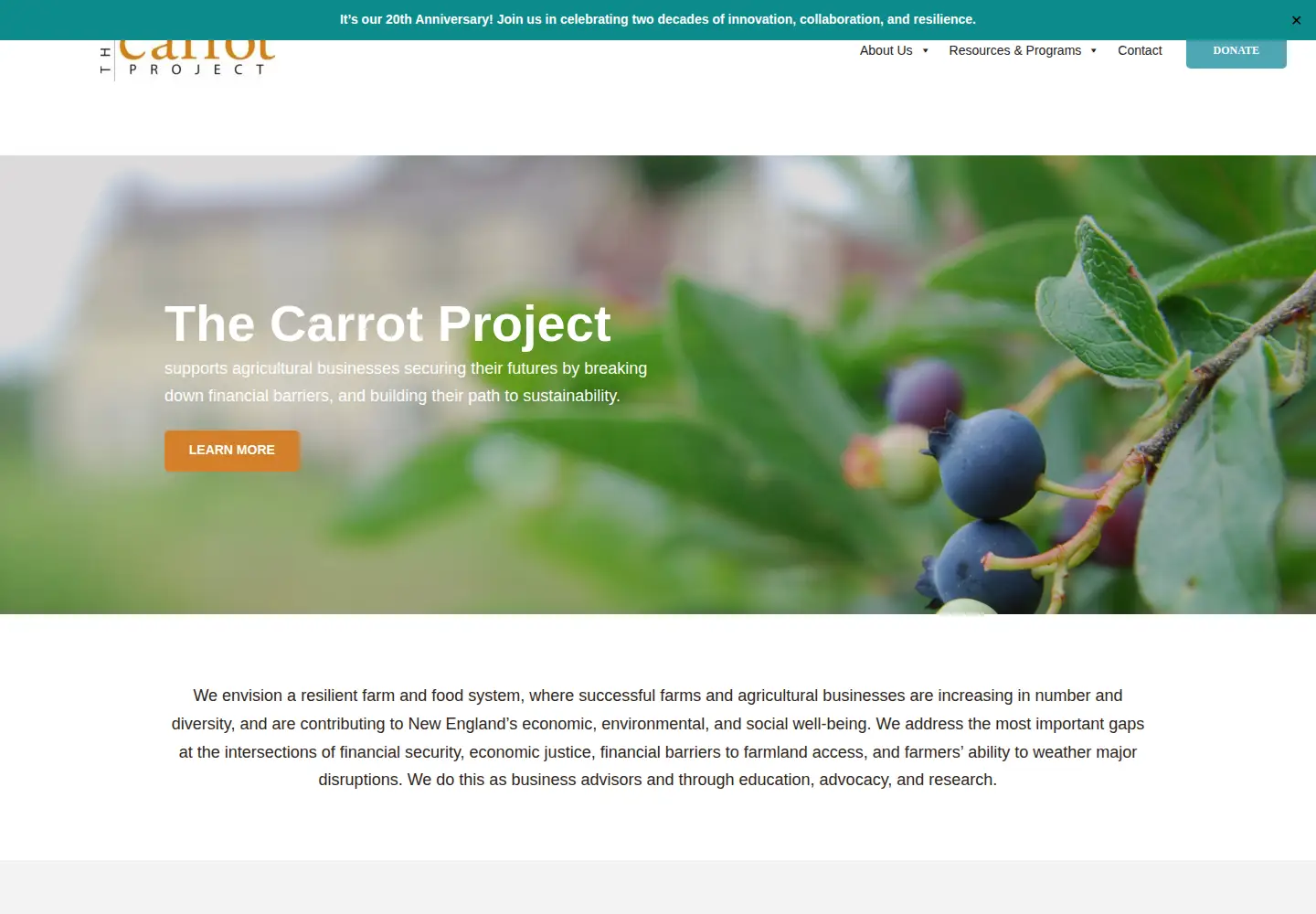 Screenshot of thecarrotproject.org