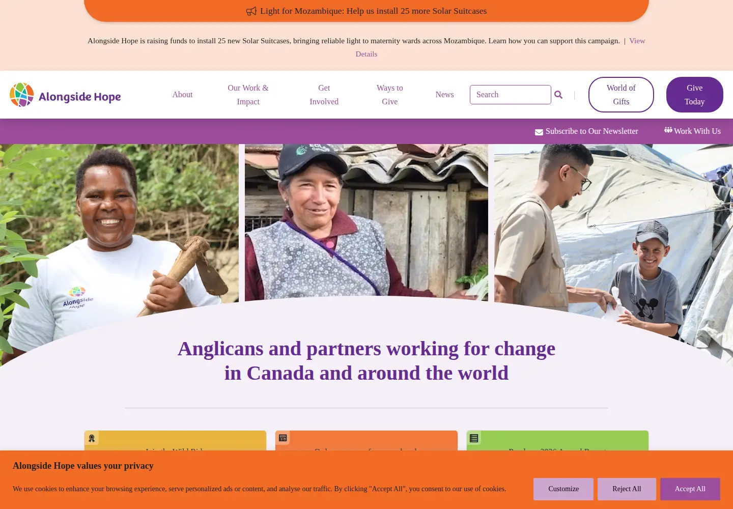 Captured homepage of alongsidehope.org in the current scan