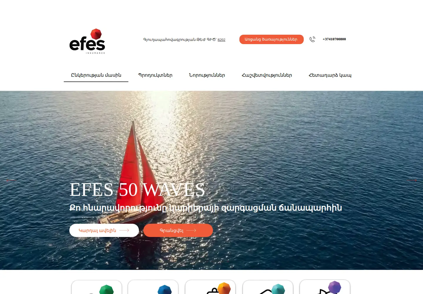 Captured homepage of efes.am in the current scan
