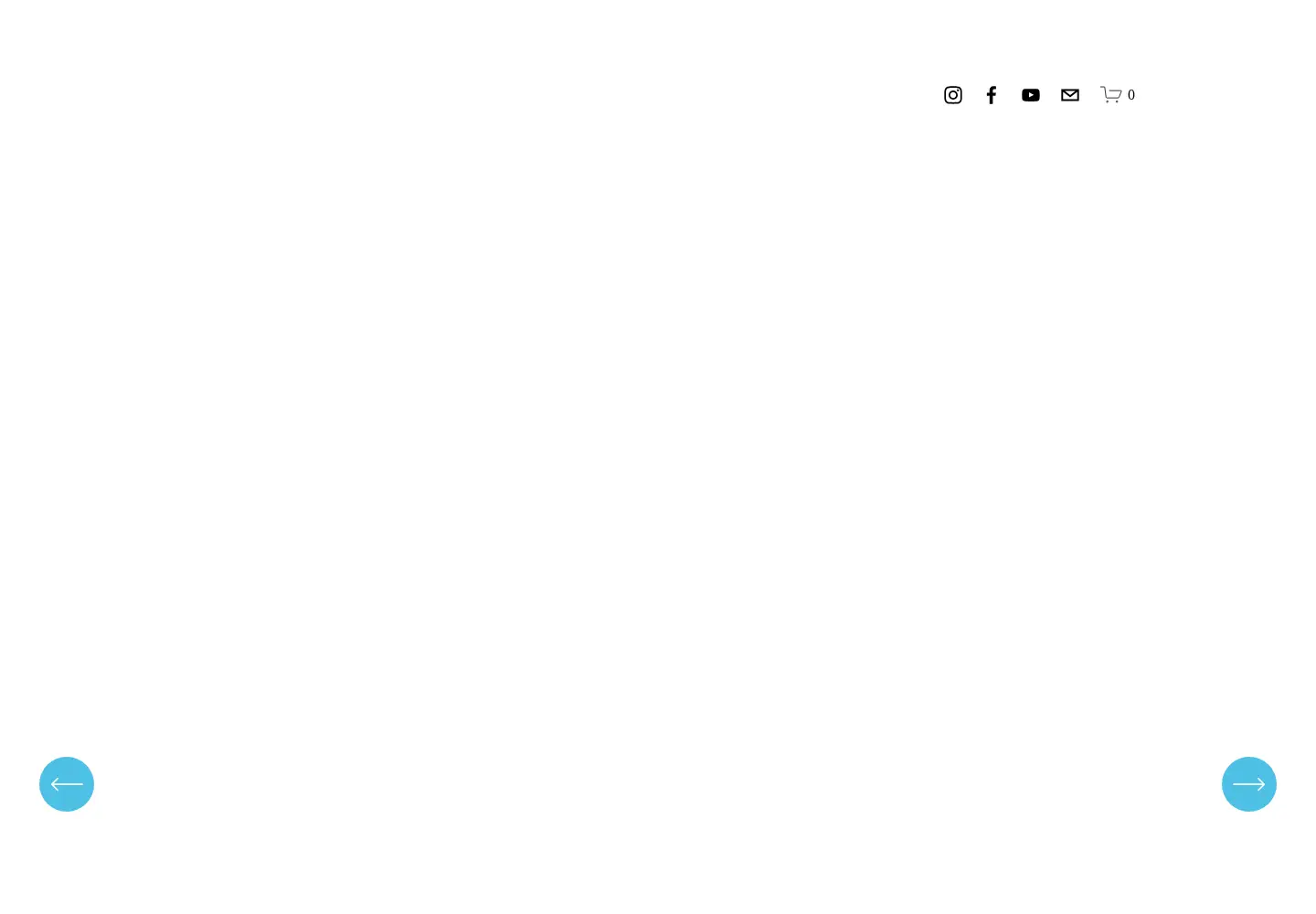 Captured homepage of southcoastartists.org in the current scan