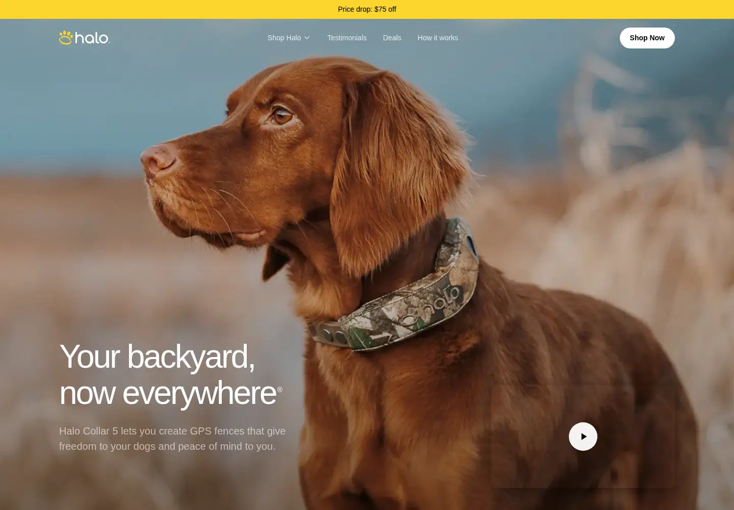 Screenshot of halocollar.com