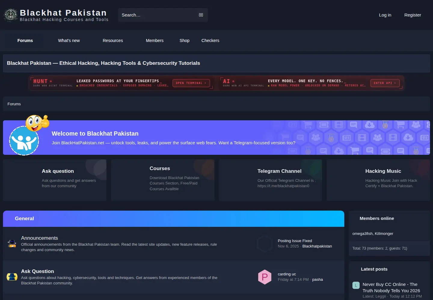 Screenshot of blackhatpakistan.net