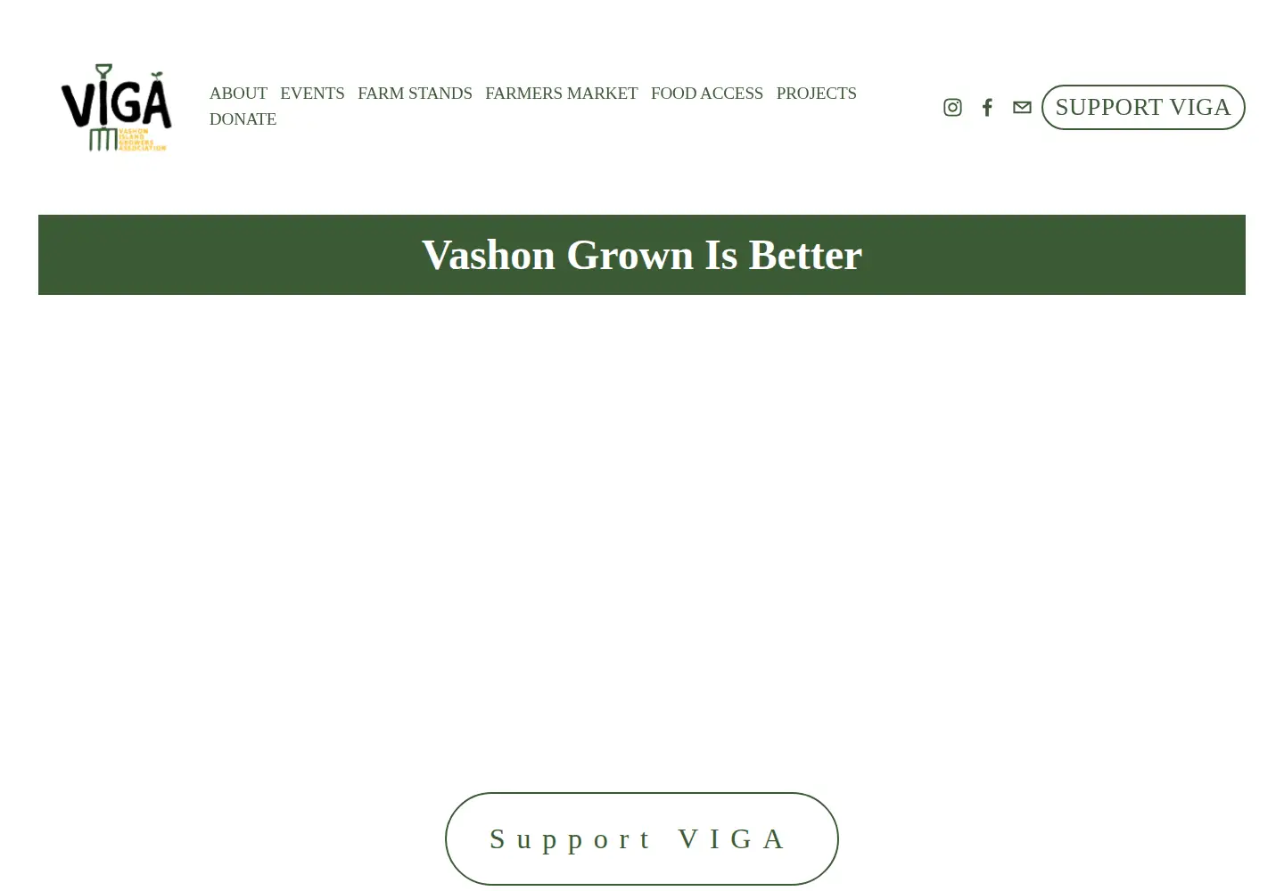 Captured homepage of vigavashon.org in the current scan