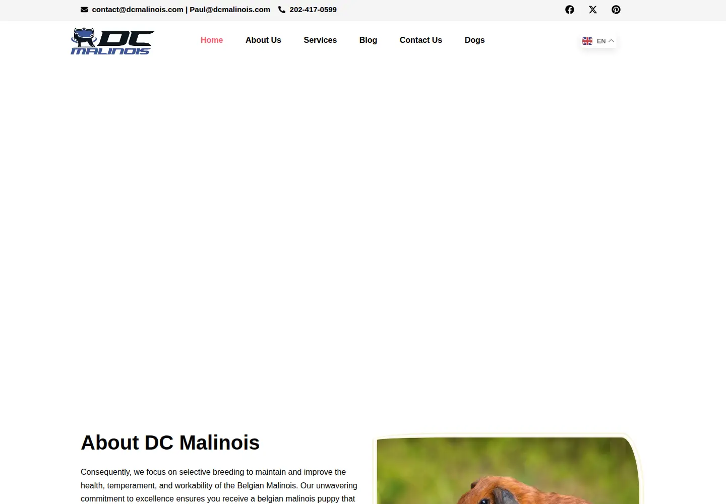 Screenshot of dcmalinois.com