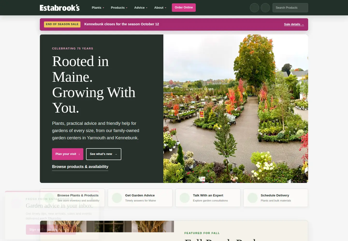 Screenshot of estabrooksonline.com