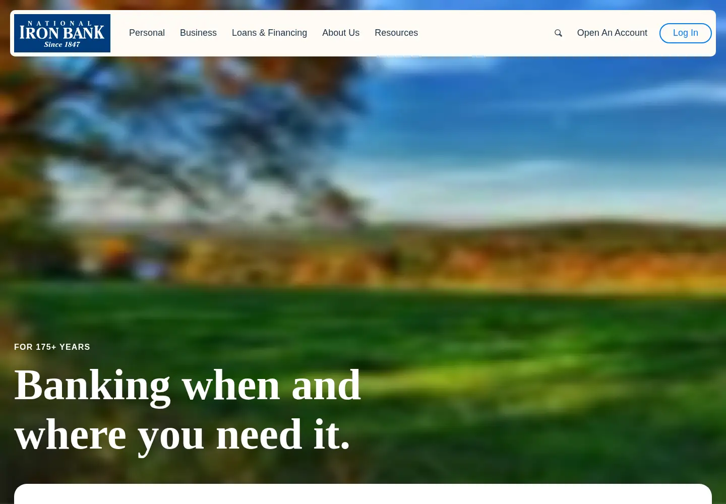 Screenshot of ironbank.com