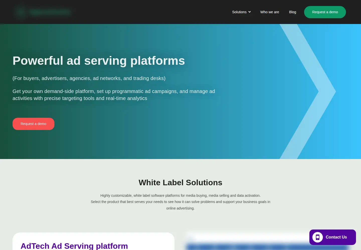 Captured homepage of digitaladsystems.com in the current scan