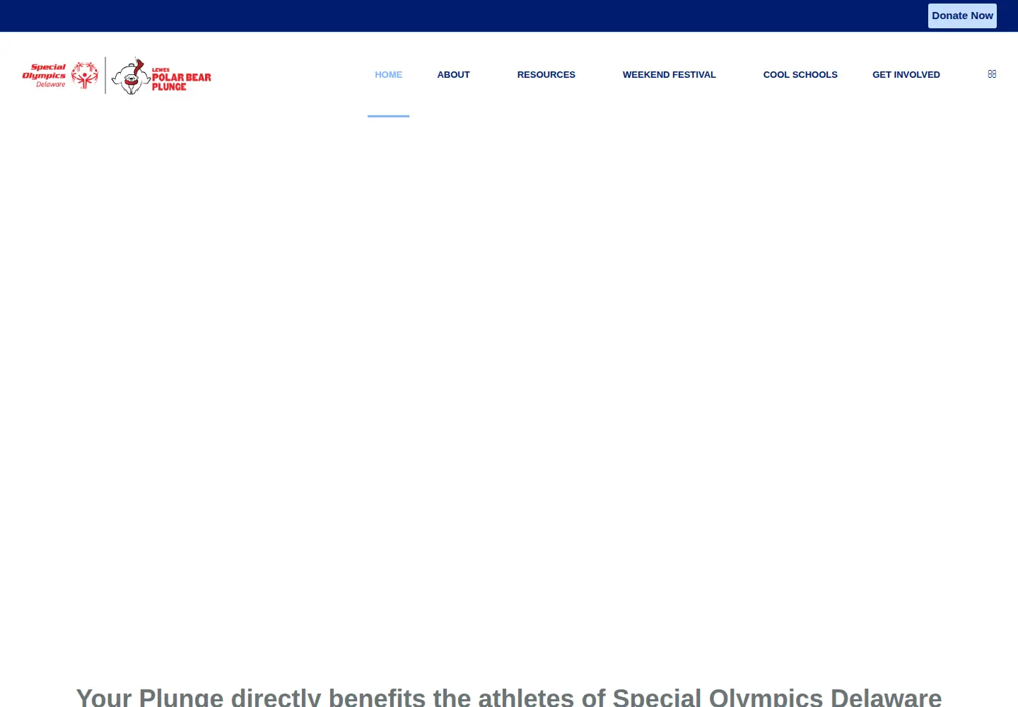 Screenshot of plungede.org