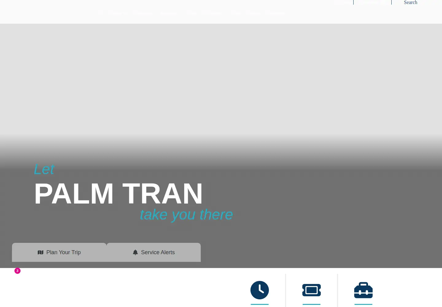 Captured homepage of palmtran.org in the current scan