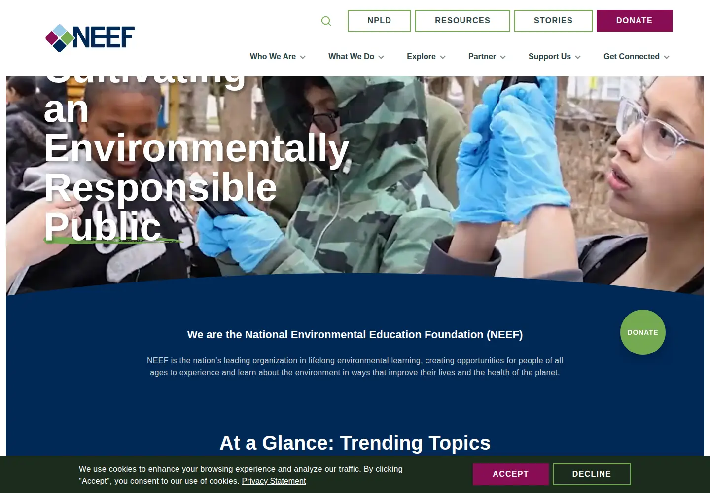 Screenshot of neefusa.org