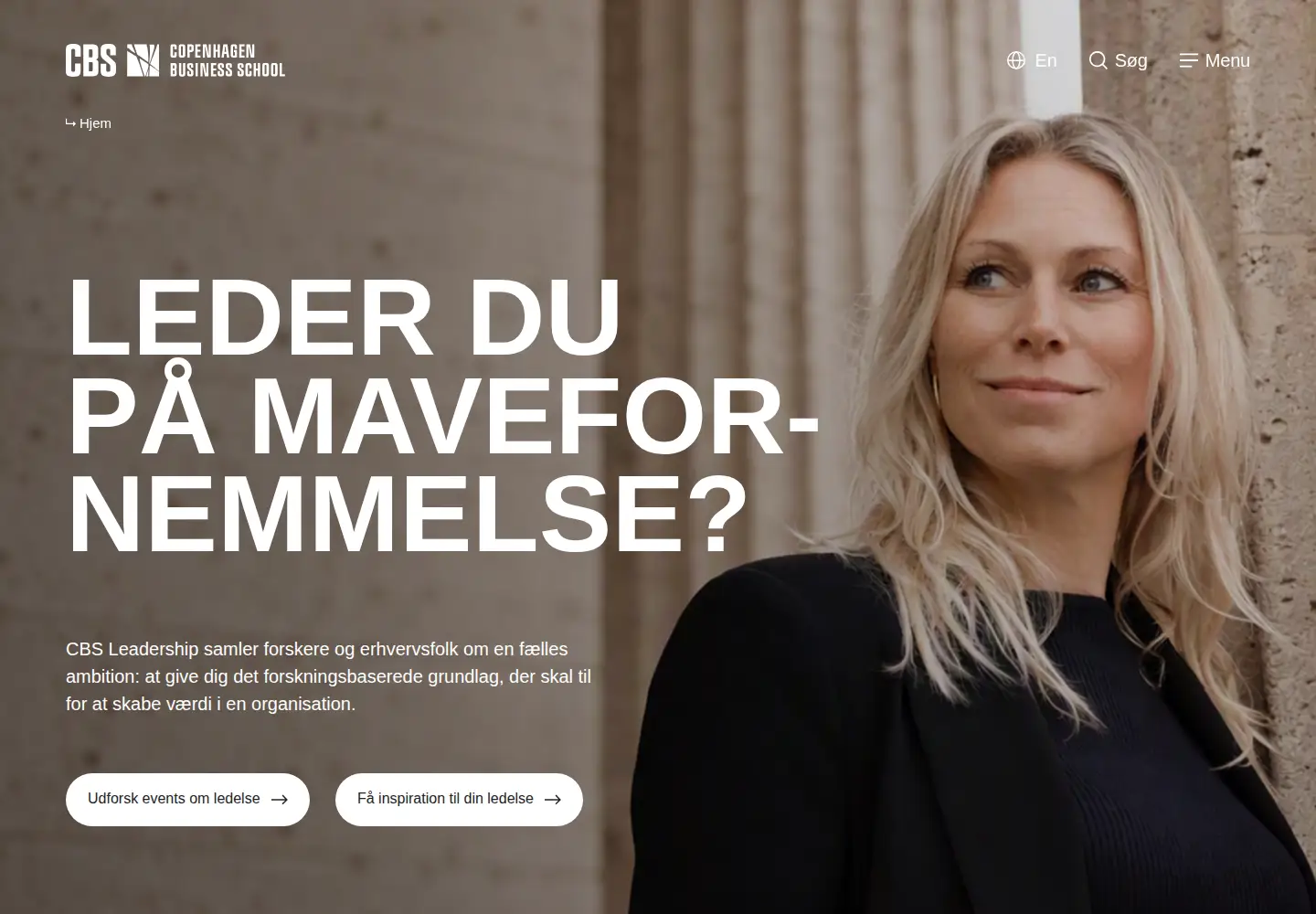 Screenshot of cbs.dk