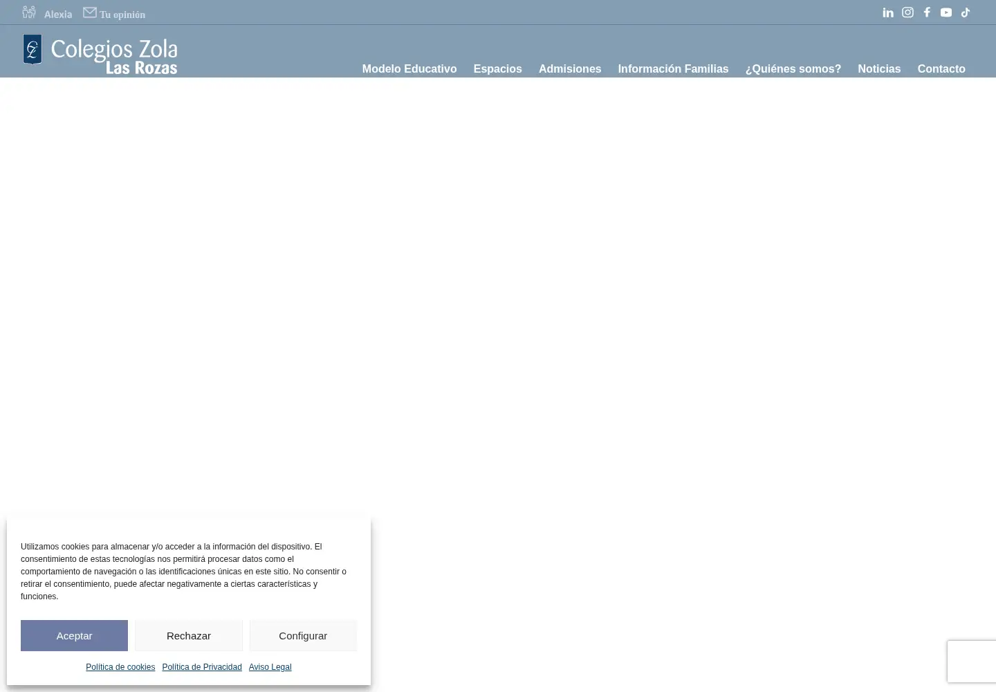 Screenshot of colegiozolalasrozas.es