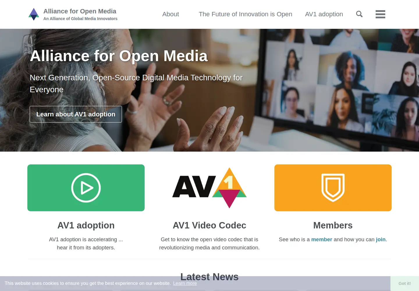 Screenshot of aomedia.org