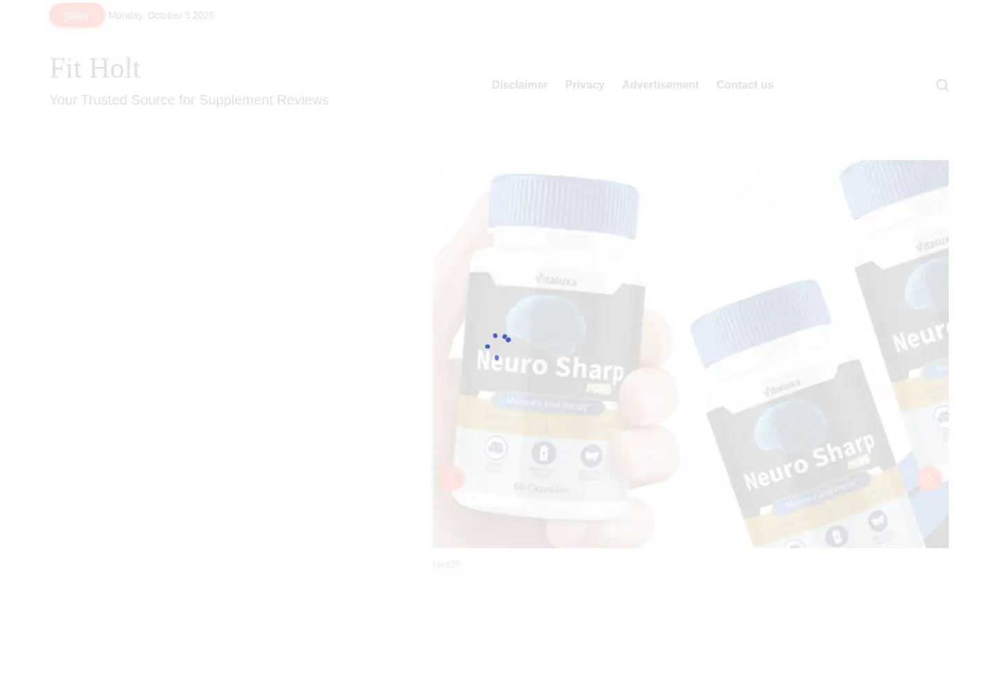 Captured homepage of fitholt.com in the current scan