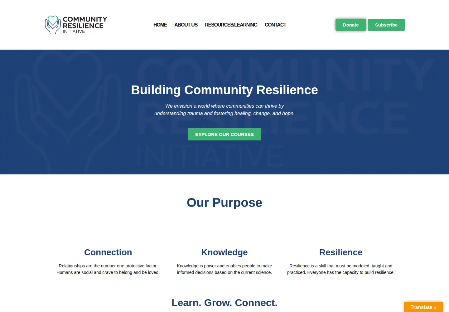 Screenshot of criresilient.org