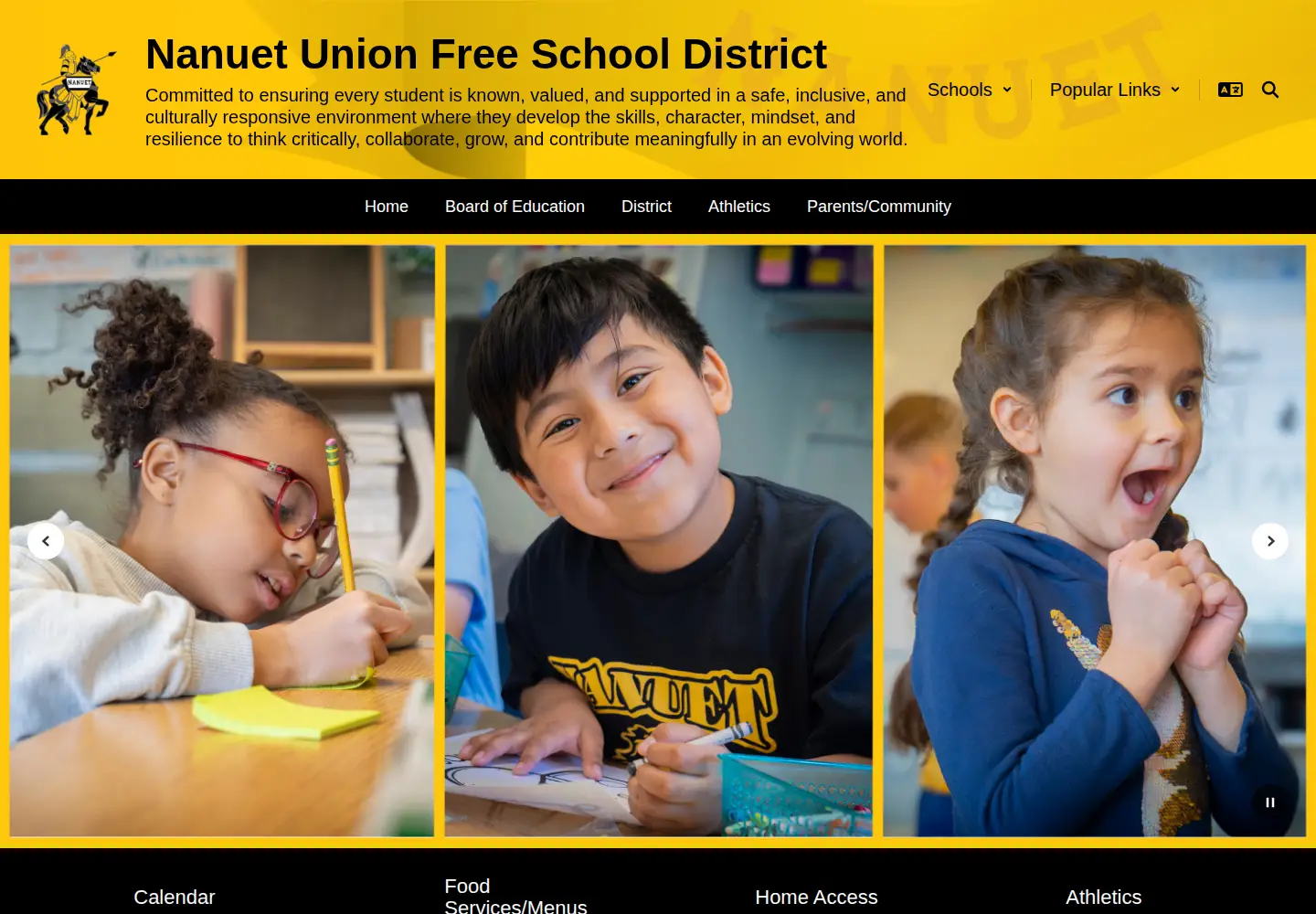 Screenshot of nanuetsd.org