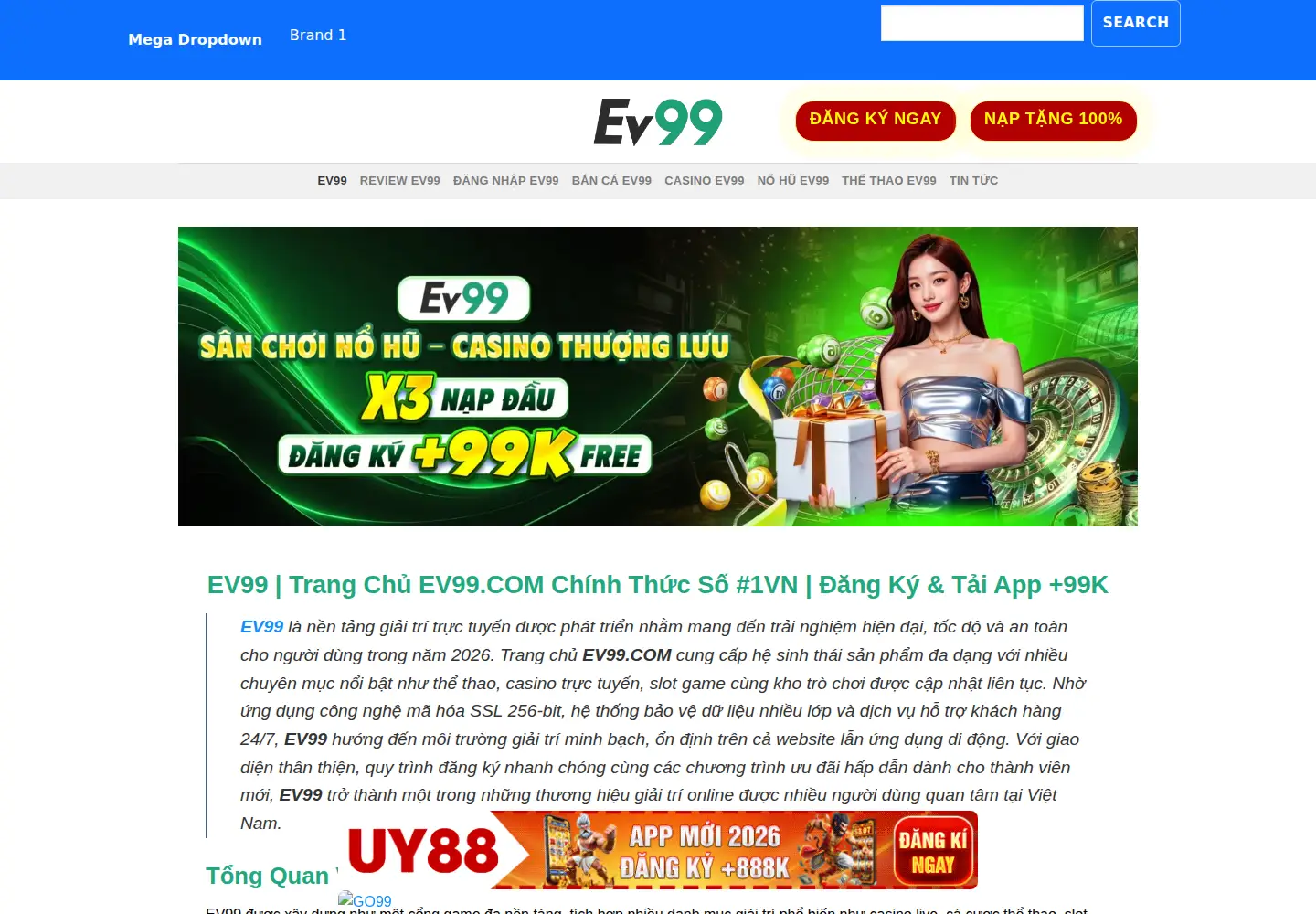 Screenshot of ev99.com.mx