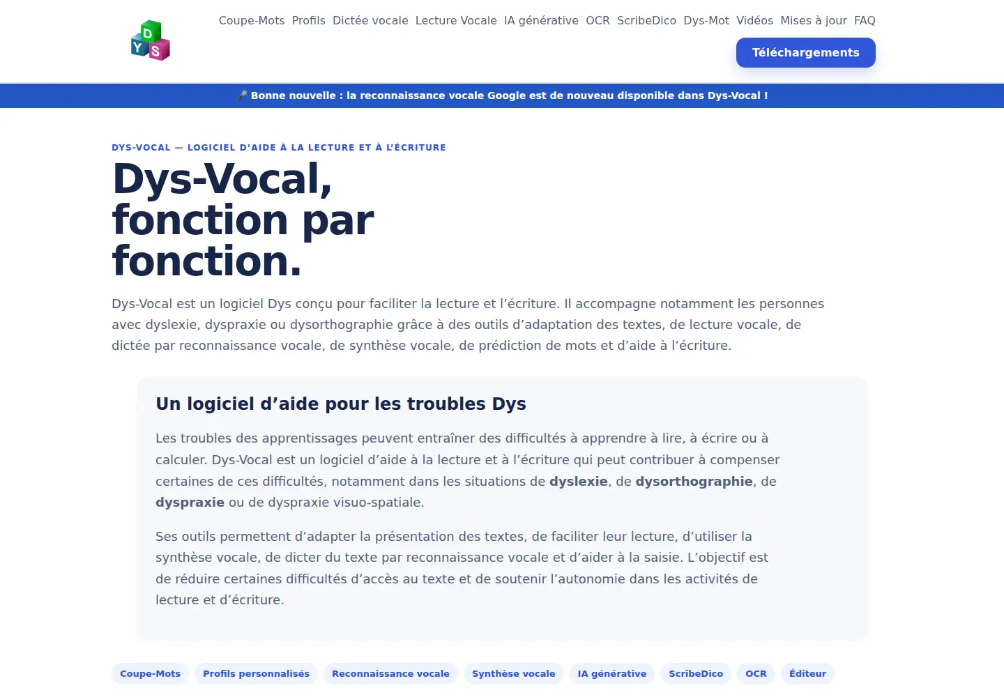Captured homepage of dyslogiciel.fr in the current scan