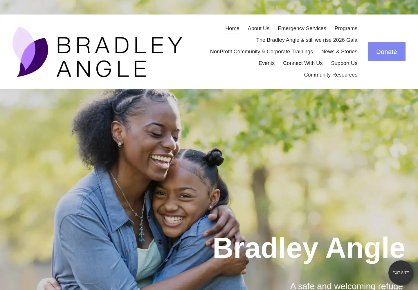 Screenshot of bradleyangle.org
