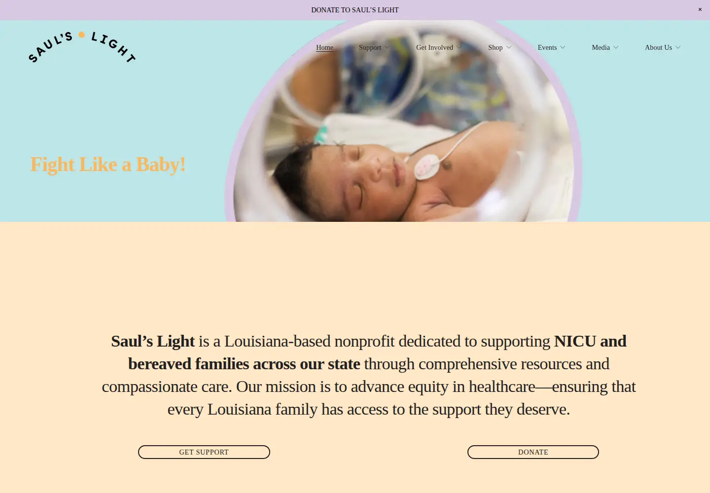 Captured homepage of saulslight.org in the current scan