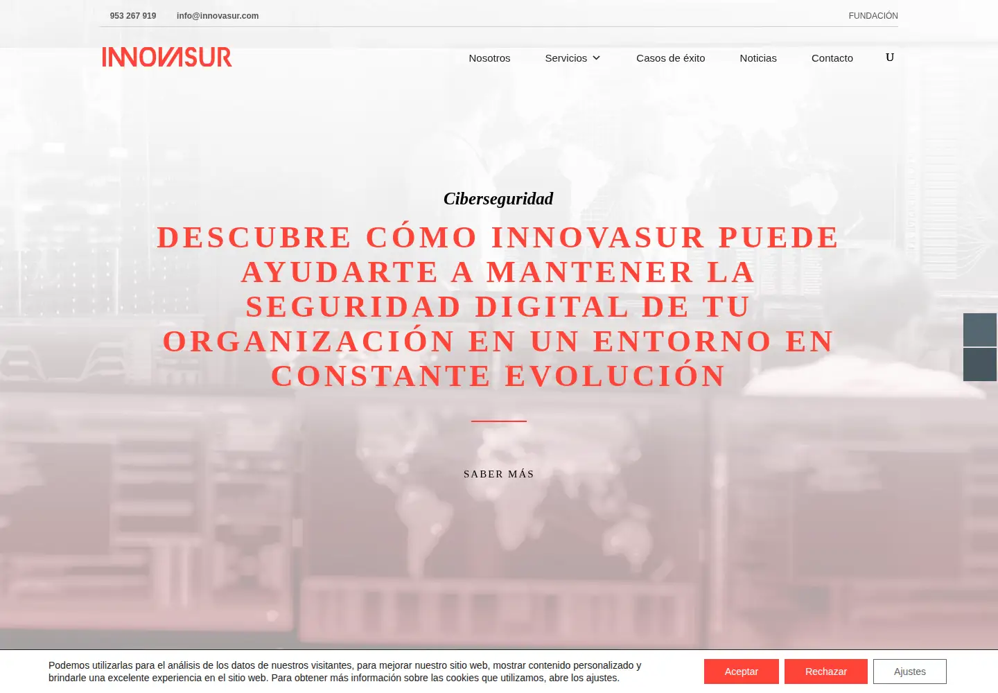 Captured homepage of innovasur.com in the current scan