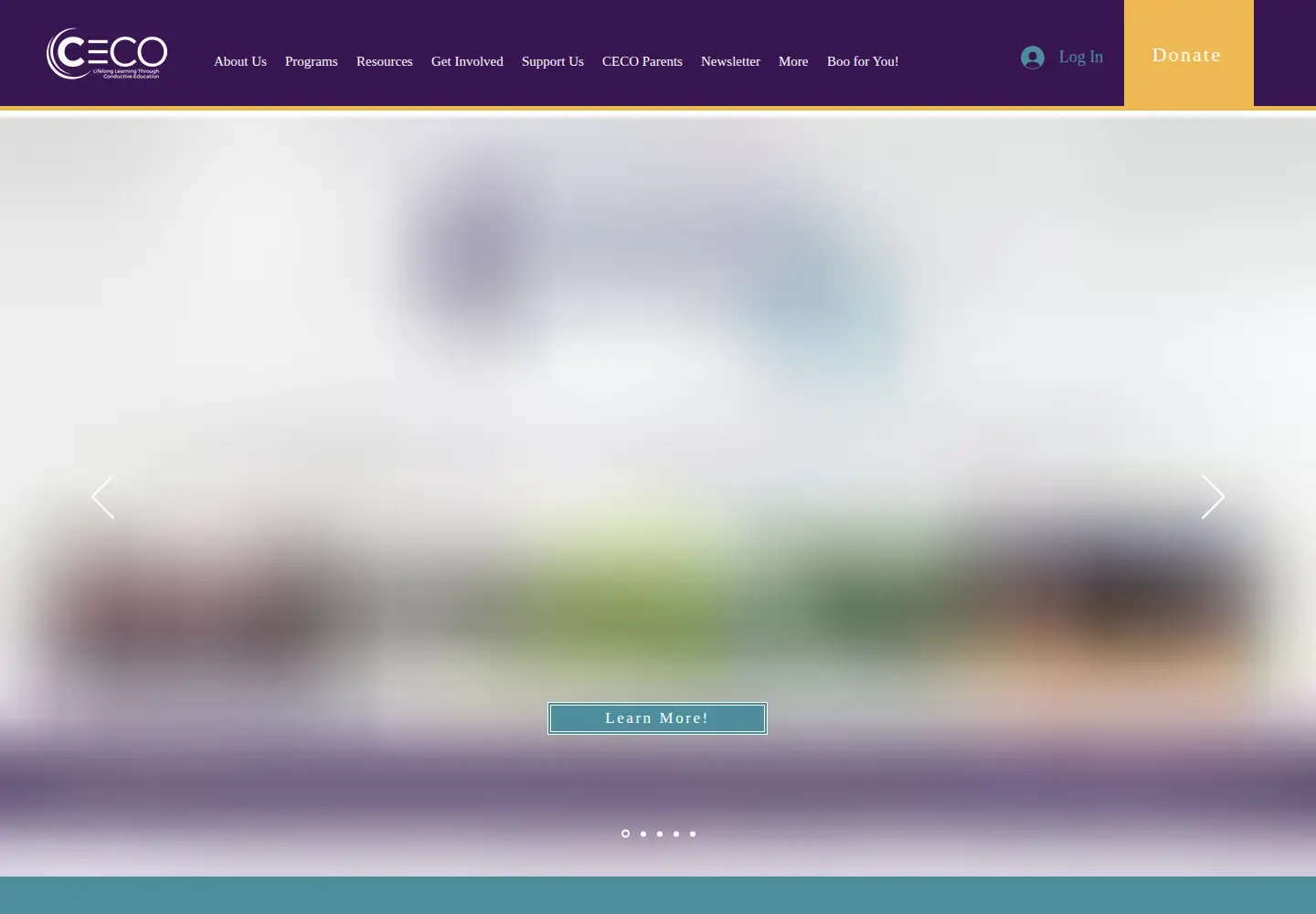 Screenshot of ceco.org