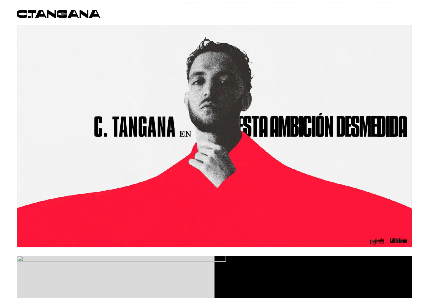 Captured homepage of ctangana.com in the current scan