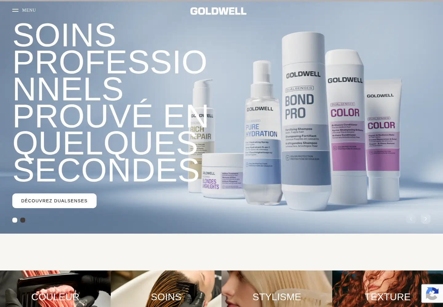 Captured homepage of goldwell.com in the current scan