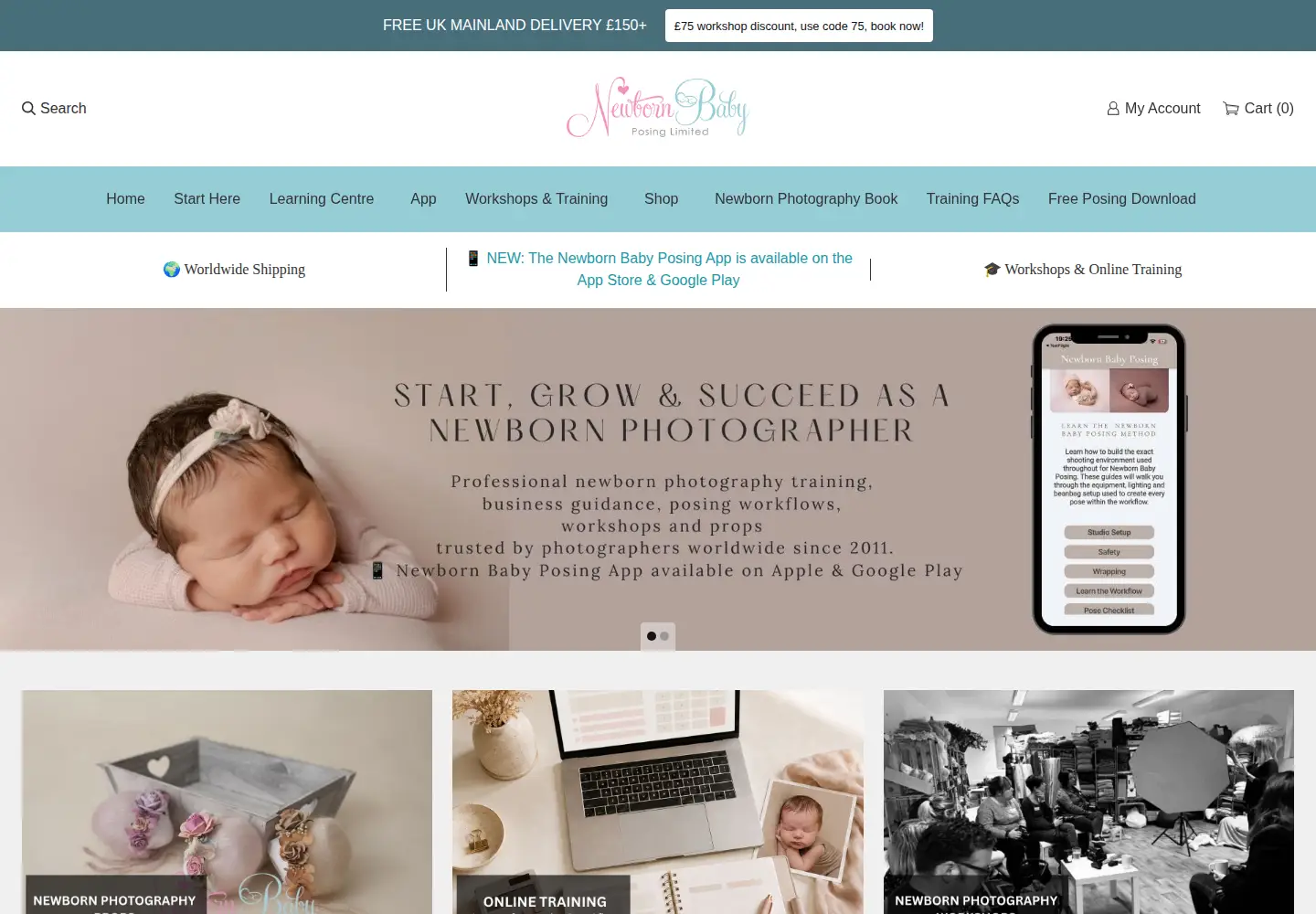 Captured homepage of newbornbabyposing.com in the current scan