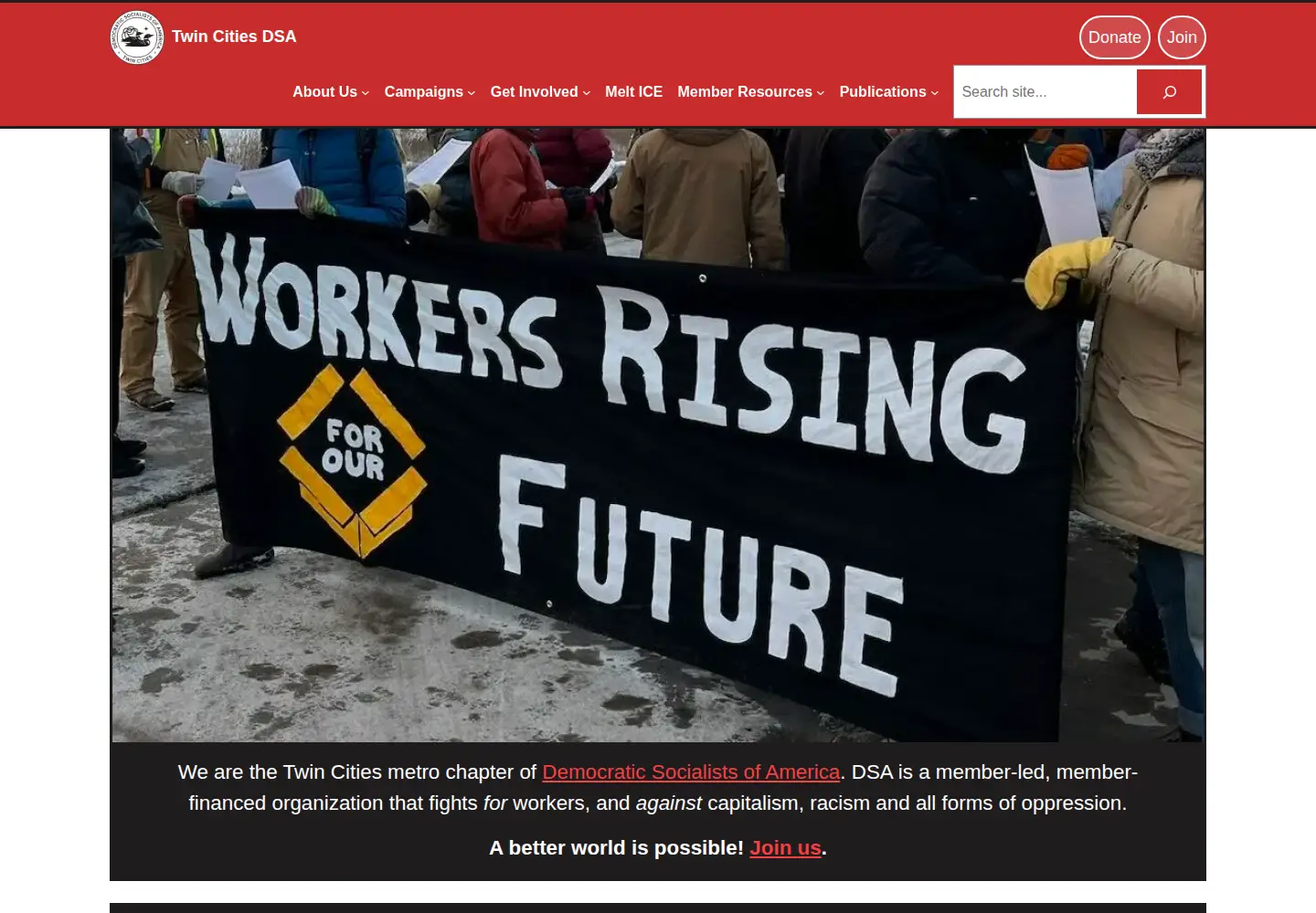 Captured homepage of twincitiesdsa.org in the current scan