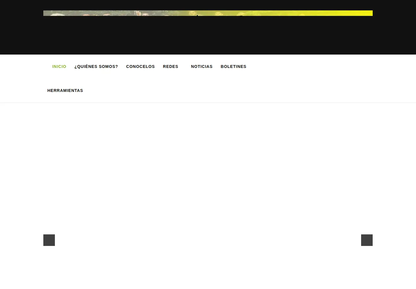 Captured homepage of museoscomunitarios.org in the current scan